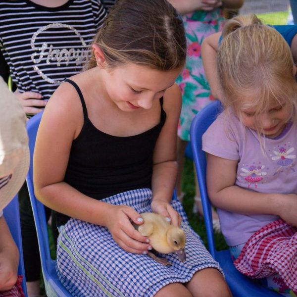 Kids-playing-with-rabbit-at-BDCC